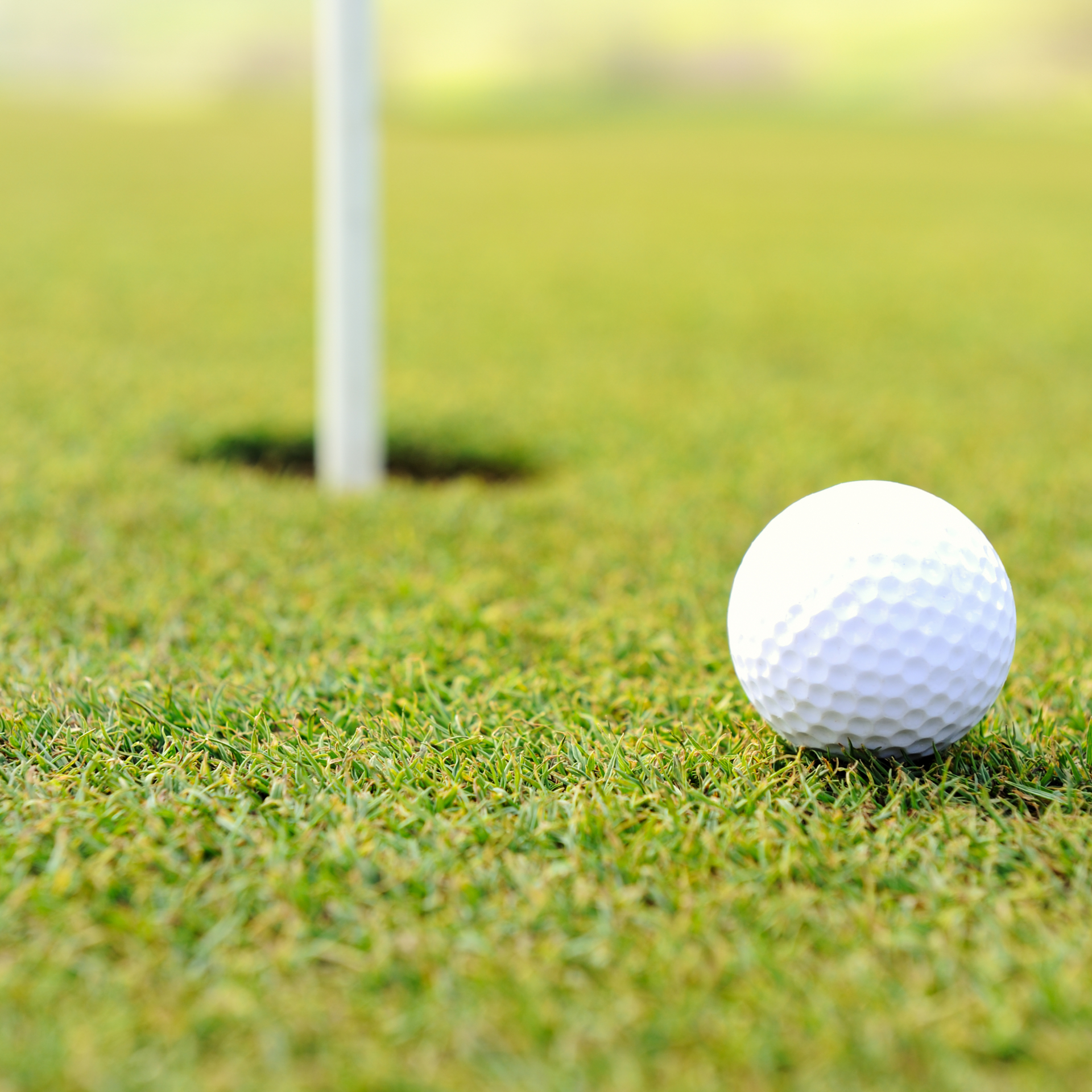 Golf ball at hole on grass field
